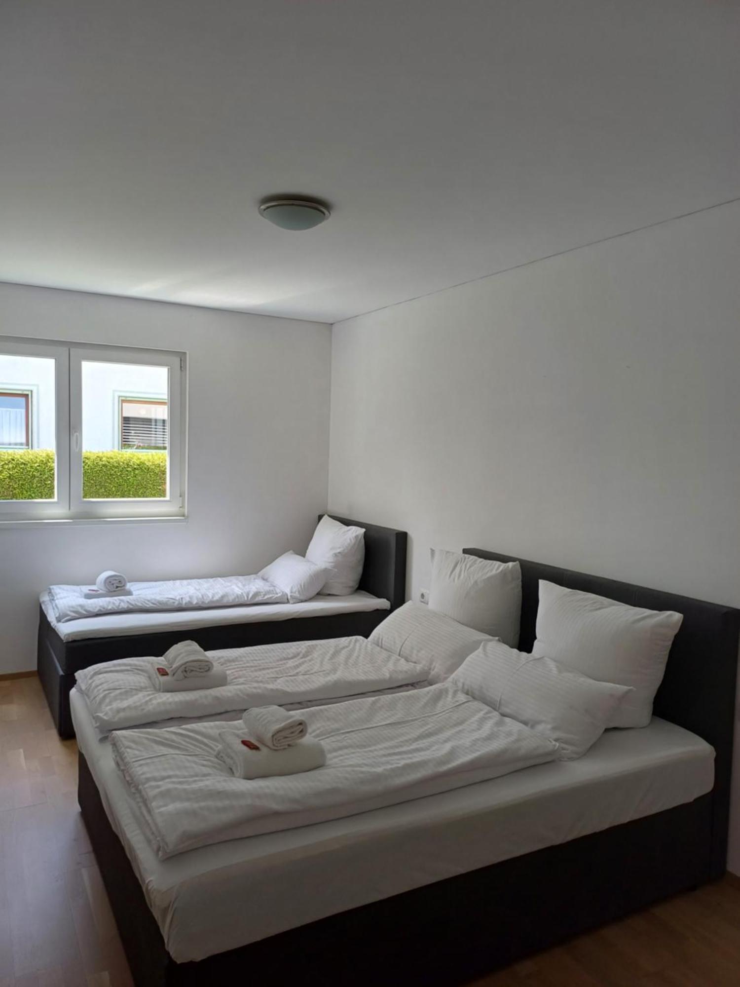 Crown Living Design Apartment - Gratis Parkplatz - Wlan - Kueche - Self Check-In Altach Esterno foto